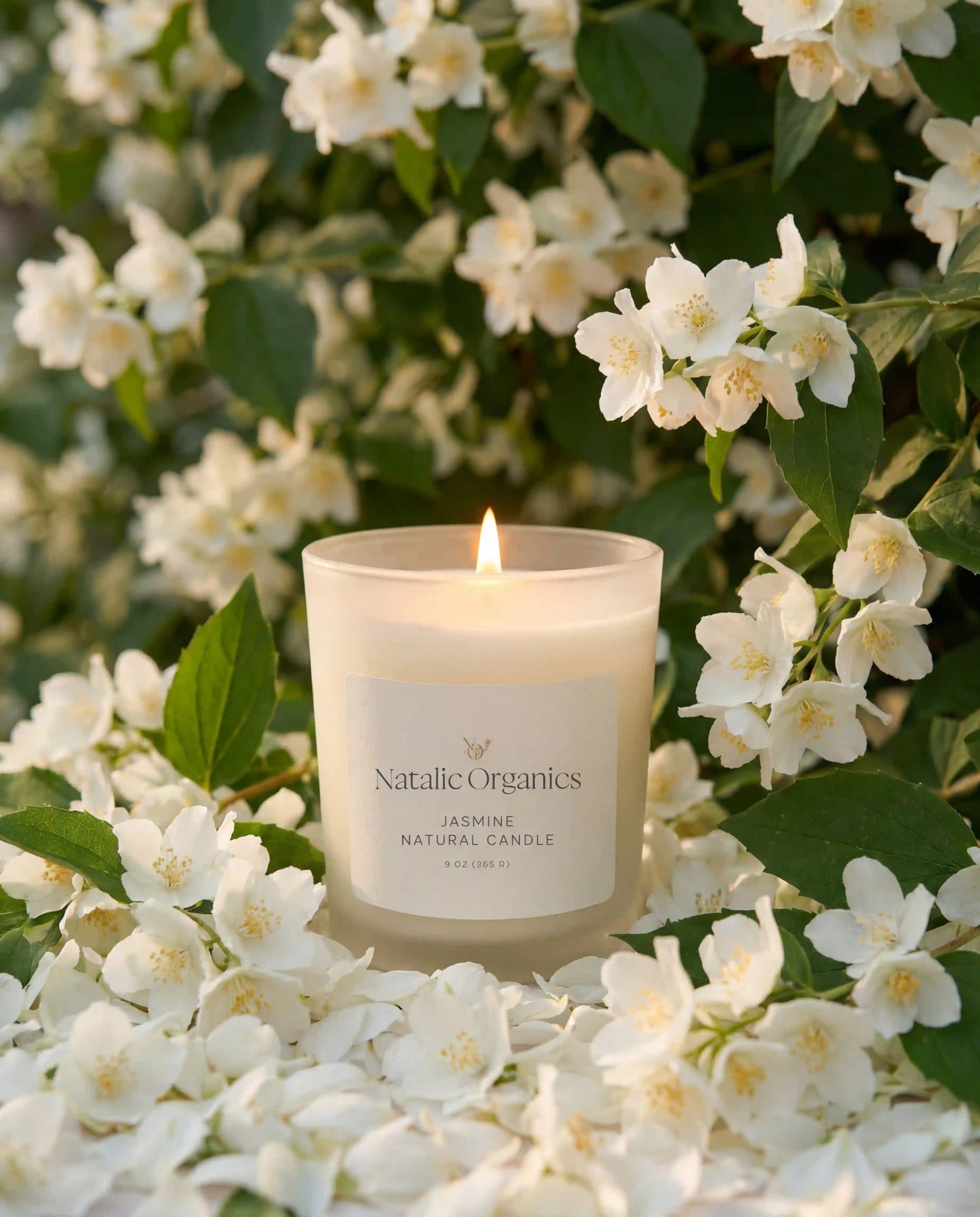 Jasmine Candle